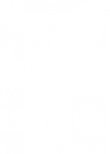Logo Iside
